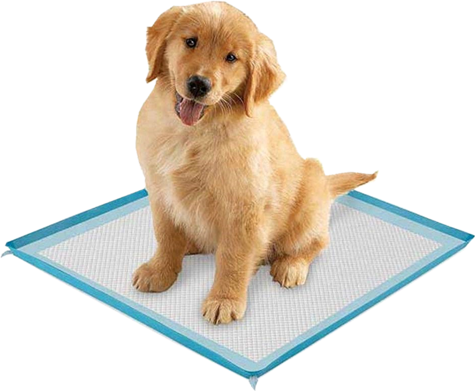 how-many-types-of-pet-pad-are-there-in-the-market-keepbetterpet-pet