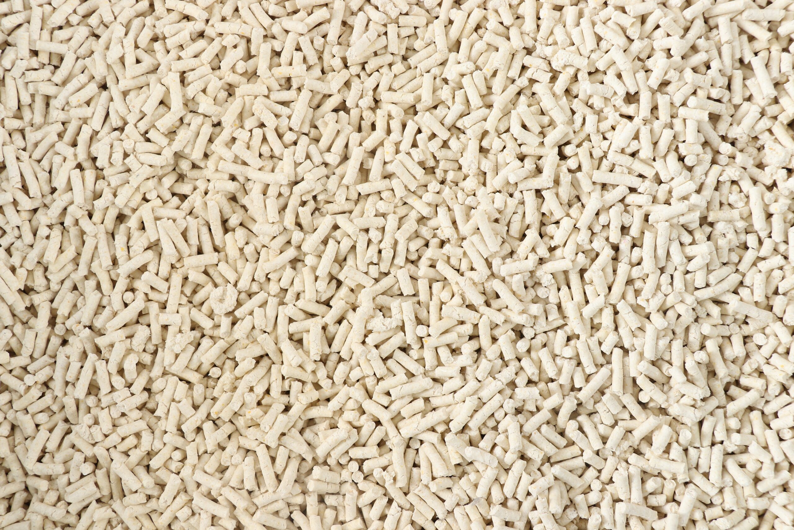 milk tofu cat litter