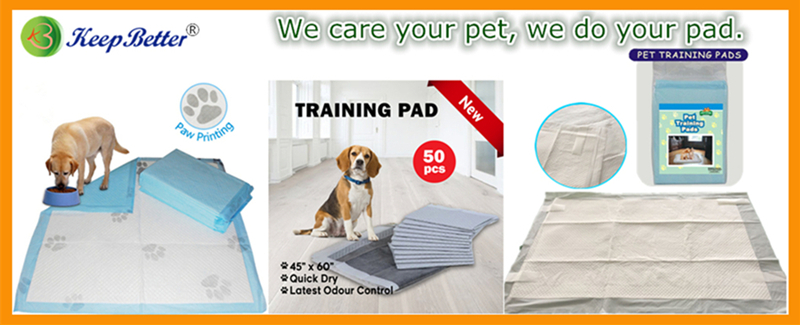 pet pad products banner